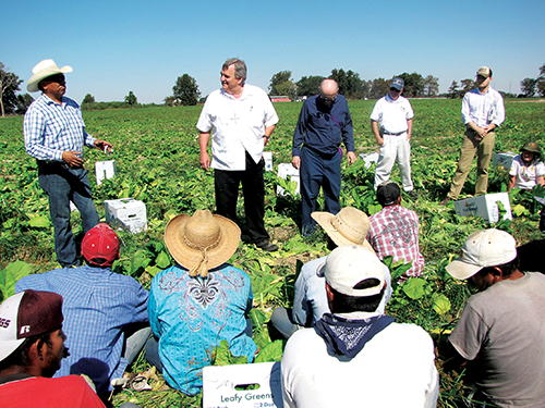 Members of the Redemptorist Manz community accompanied Bishop John Manz on a pastoral visit to Hispanics in the diocese in October 2015. Bishop Manz is a member of the U.S. Conference of Catholic Bishops' committee on refugees and migrants. The Redemptorists took him out into the fields and factories where they are ministering to Hispanics across the diocese, but especially in the Delta. It is this work that has earned them a nomination for the Lumen Christi Award. (Mississippi Catholic file photo by Sister Maria Elena Mendez, MGSsP.) 