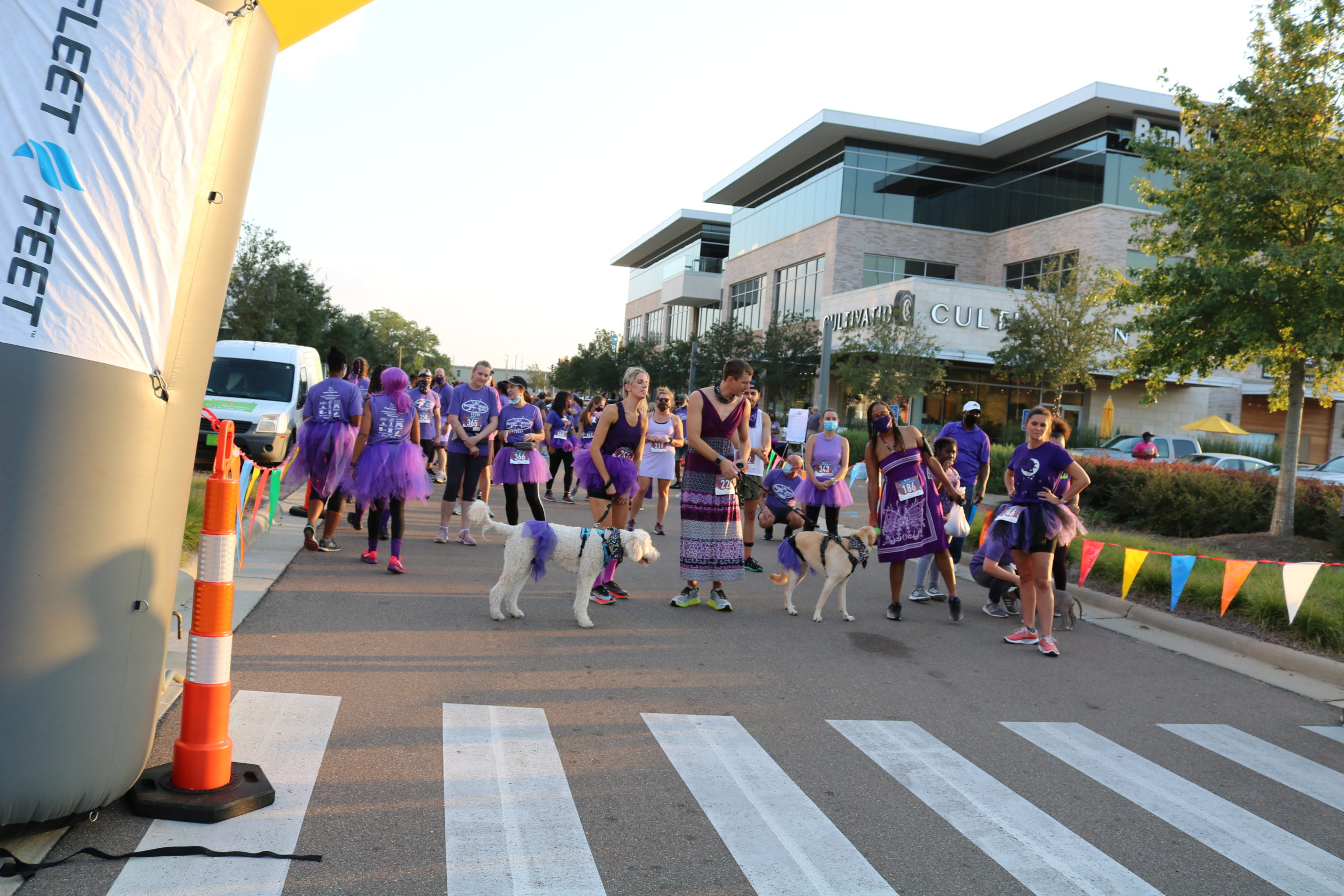 Purple Dress Run draws attention to domestic violence awareness