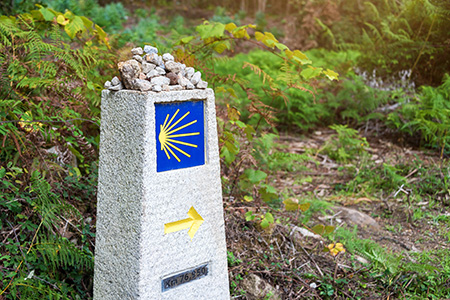 Walking the Way: Young adults find faith and fellowship on the Camino de Santiago